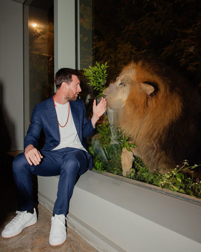 “Ojo a las caras de Lionel”: el video de las increíbles reacciones de Messi durante su visita a un santuario de animales en la India