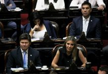 Presupuesto 2026: un diputado libertario se confundió de proyecto y elogió un plan obras que propone la oposición