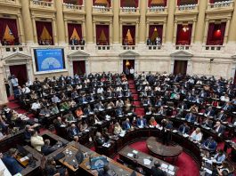 La reacción del Gobierno tras la media sanción de la Ley Penal Juvenil