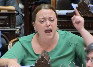 “Quedaste grabada, pedazo de loca“: los fuertes cruces en el inicio del debate por la reforma laboral en Diputados