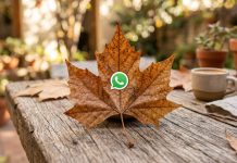 Así se puede activar el “modo hoja seca” en WhatsApp
