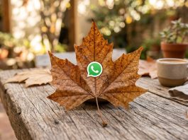 Así se puede activar el “modo hoja seca” en WhatsApp