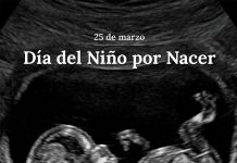«Día del Niño por Nacer»: el Gobierno celebró la fecha y ratificó su postura contra el aborto legal