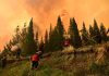 Incendios en Chubut: siguen peritando celulares de una comunidad mapuche y tierra con restos de líquido acelerante