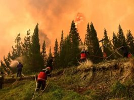 Incendios en Chubut: siguen peritando celulares de una comunidad mapuche y tierra con restos de líquido acelerante