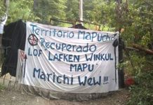 La Justicia define la situación de dos mapuches vinculados a las usurpaciones de Villa Mascardi