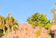 La recorrida por la lujosa mansión de Carlos Tevez: pileta con cascada, un museo con los tesoros de su carrera y la mini Bombonera