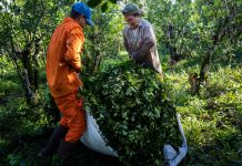 Misiones le cobró 300 años de impuestos anticipados a una empresa y generó un conflicto que involucró a Corrientes