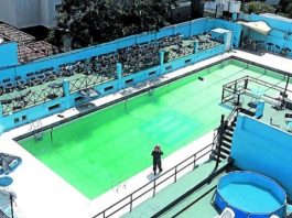 Sentencia millonaria contra Racing por el crimen de Nicolás Pacheco Gómez: cuánto deberá pagar el club