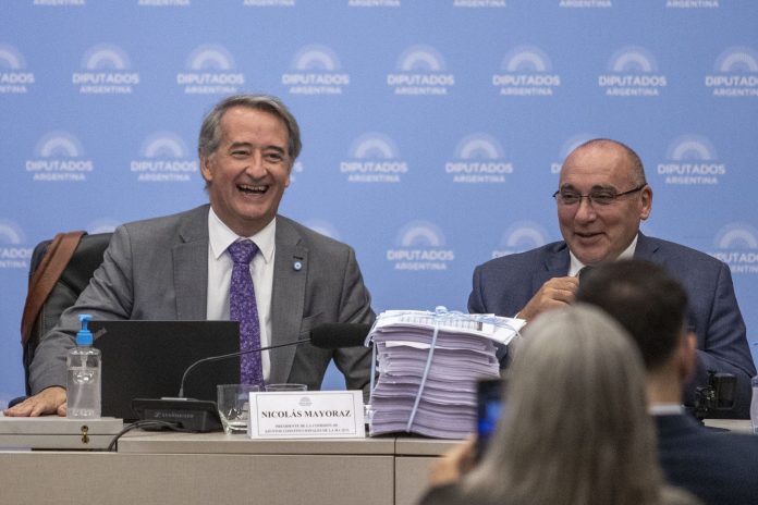 “Silencio, cállense la boca”: a los gritos y golpes de mesa, una disertante irrumpió en la audiencia por la Ley de Glaciares