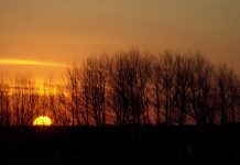 Día de la Tierra: cómo es el doodle de Google de hoy, miércoles 22 de abril