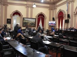 La Cámara de Diputados de Salta dio media sanción a la reforma electoral provincial