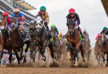 Masajistas, psicólogos equinos y dietas de atleta de élite: los secretos del entrenamiento de los caballos del Kentucky Derby