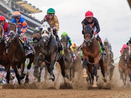 Masajistas, psicólogos equinos y dietas de atleta de élite: los secretos del entrenamiento de los caballos del Kentucky Derby