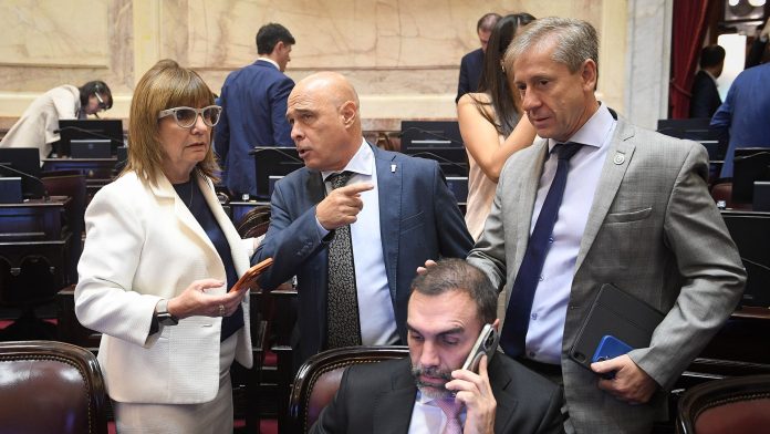 Senado: dialoguistas reclaman un guiño del Gobierno para incorporar leyes propias a la agenda legislativa