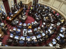 Senado: pierde peso la idea de sesionar el 29 de abril y oficialistas y dialoguistas prefieren esperar a mayo