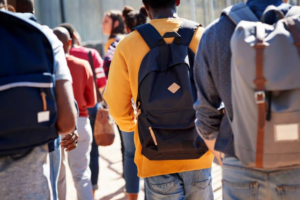 Becas Progresar: qué pasó con la cifra de beneficiarios y su presupuesto en la gestión de Milei