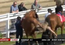 La espeluznante patada de un caballo a una mujer antes de una carrera en un hipódromo: “Accidente desafortunado”