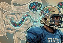 Los impactos en la cabeza alteran el microbioma intestinal en jugadores universitarios de fútbol americano