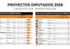Cuántos proyectos llevan presentados los diputados que ingresaron en diciembre