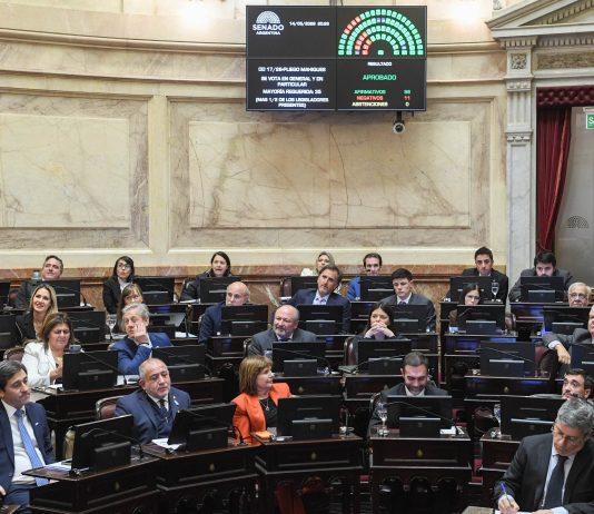El Senado definirá en una semana si retira o aprueba la candidatura de Michelli como jueza