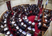 Hoy sesiona el Senado y LLA llega sin una estrategia clara para responder críticas por el pliego de Michelli