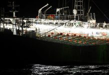 La flota extranjeras china extrae en la milla 201 hasta cuatro veces más recursos naturales que la pesca argentina