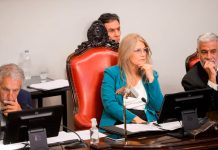 Magario frena el avance libertario en el Senado, pero asoma una puja en el PJ por el Consejo de la Magistratura
