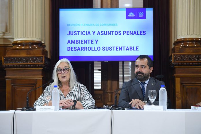 Polémica por un proyecto de “Ecocidio” en el Senado: LLA quiere retirar las firmas del dictamen