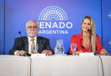 Senado: dudas por el ascenso de grado de un militar en una comisión que La Libertad Avanza confeccionó a gusto