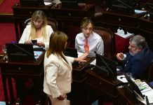 Senado: los aliados toman el control de la agenda que cede Bullrich y cambian a gusto leyes y plazos