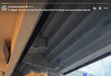 El perro influencer con auriculares protectores se robó las miradas en el partido entre Argentina y Cabo Verde