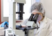 La Academia Nacional de Ciencias alertó por la “fuga de cerebros” y cuestionó las políticas del Gobierno para el sector