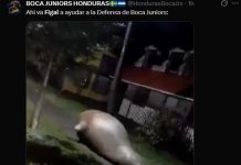 Los mejores memes del sufrido triunfo de Boca por penales frente a O’Higgins: Figal y Aranda, los elegidos