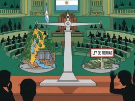 Reforma de la Ley de Tierras: el Congreso debate el fin de las restricciones a la adquisición por parte de extranjeros