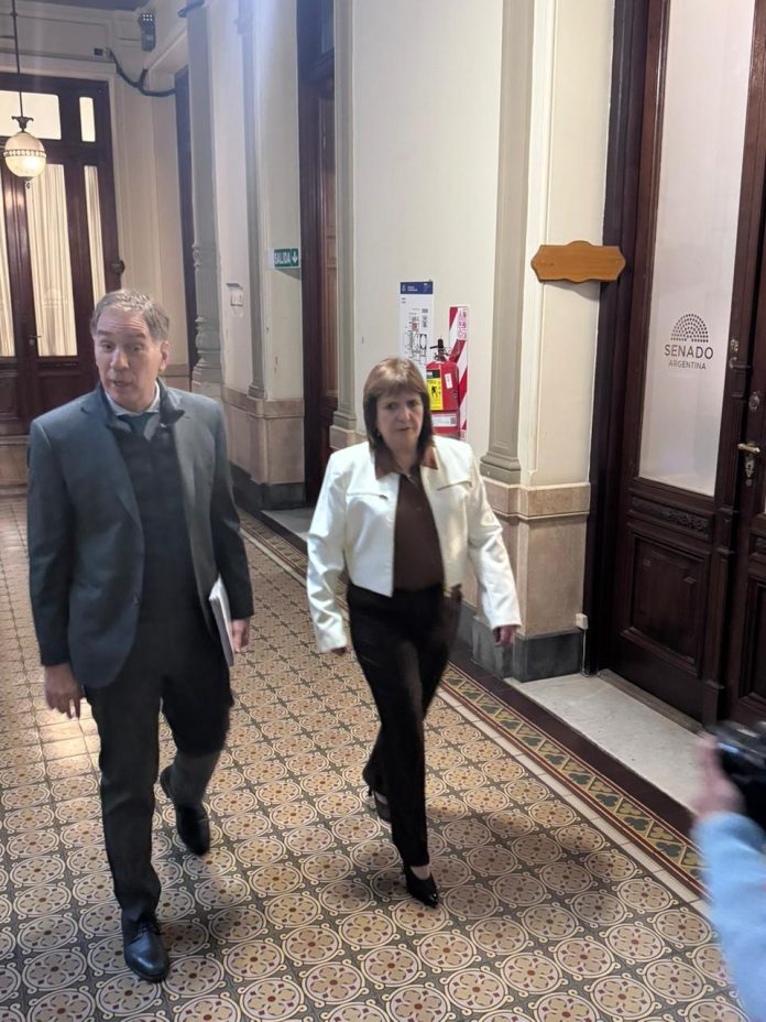 Senado: primer acercamiento entre Santilli y aliados para destrabar la agenda y avanzar con leyes demoradas