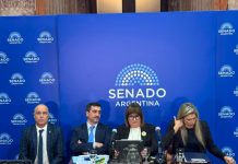 Bullrich dijo que acordó con aliados un límite de 25% para la venta de tierras, pero aún hay dudas con los votos