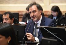 La oposición cuestionó a Benegas Lynch por su empresa para vender campos a extranjeros y el senador libertario se defendió