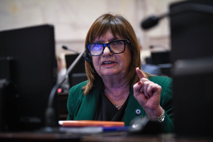 Las maniobras de Bullrich y los reproches a Sturzenegger: así vivió el oficialismo la fallida sesión por la Ley de Tierras
