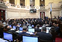 Se reactiva el Senado: audiencias por jueces, inicio del Súper RIGI y día “D” para una ley mileísta