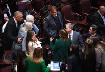 Senado: el oficialismo habilita proyectos de aliados para contener a los dialoguistas