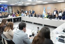 Diputados avanza en un proyecto de ley de unidad que crea un sistema nacional para rastrear medicamentos de alto riesgo