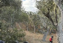 El estremecedor accidente en una de las curvas más peligrosas del mundo que terminó con un auto partido a la mitad