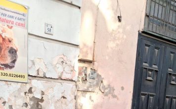 Fue el “mejor amigo” de Maradona, estuvo en su casamiento, vivió en la calle y lucha contra las adicciones: “Vivía bebiendo en un banco”