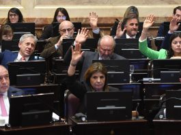 Senado: se aprobó el recorte de subsidios en zonas frías y el Gobierno sumó una victoria en el Congreso