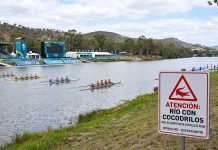 Un río infestado de cocodrilos será la sede del remo en los Juegos Olímpicos de Brisbane 2032, pese a la oposición de 500 atletas