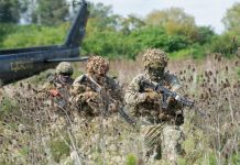 El Gobierno autorizó la participación del Ejército Argentino en un ejercicio militar con Brasil